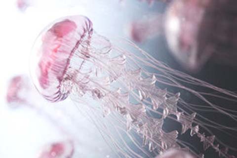 http://suzhou.qqkaixin.com/post/193.html|苏州供卵助孕