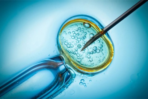http://suzhou.qqkaixin.com/post/199.html|苏州供卵助孕