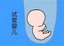 苏州代怀孕初期孕酮值为13ngml，医生说偏低，那正常值是多